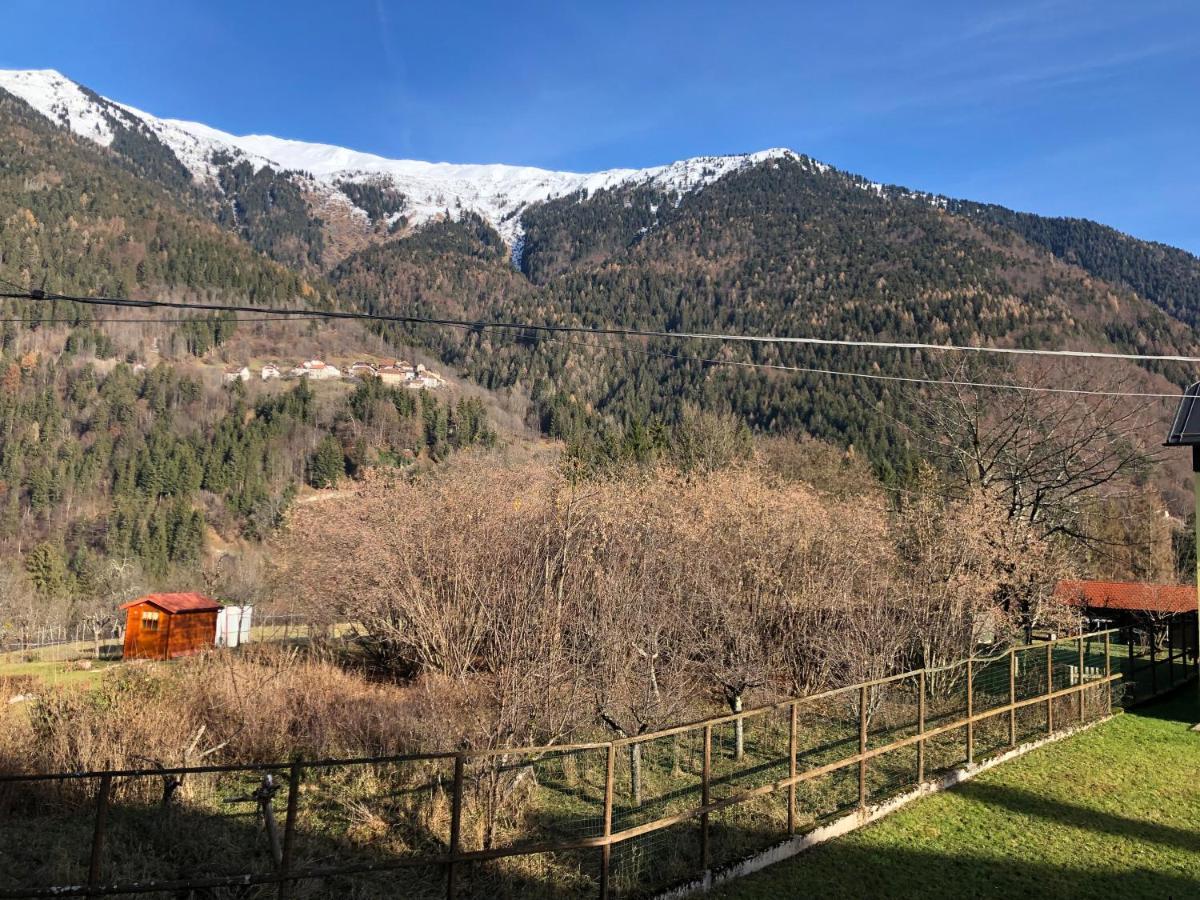 Hotel Mountain House Rigolato Esterno foto